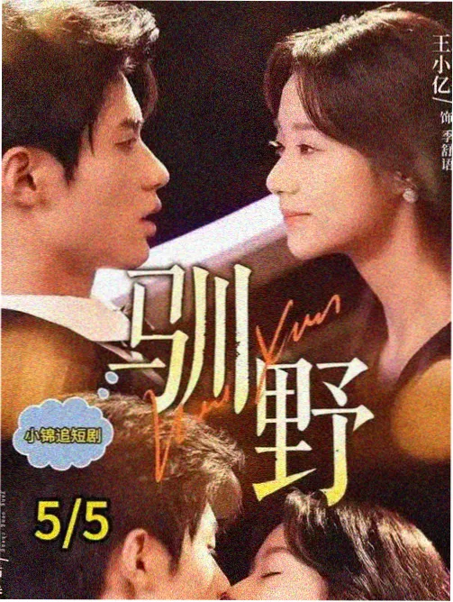 资讯配图 贴纸题材墙新增分区
